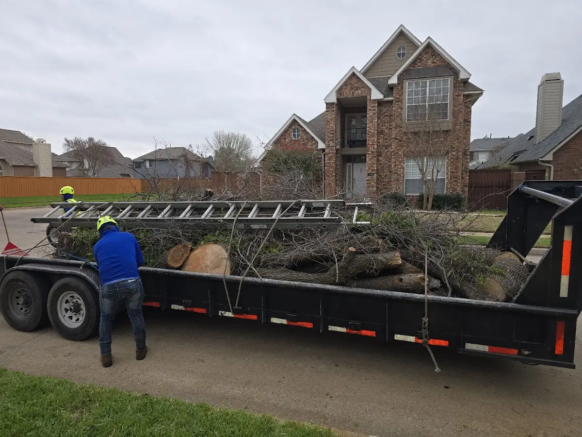 Expert Lot Clearing with proper safety equipment in Spavinaw